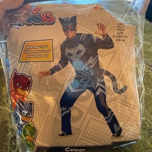 Adult PJ Masks Catboy Costume
